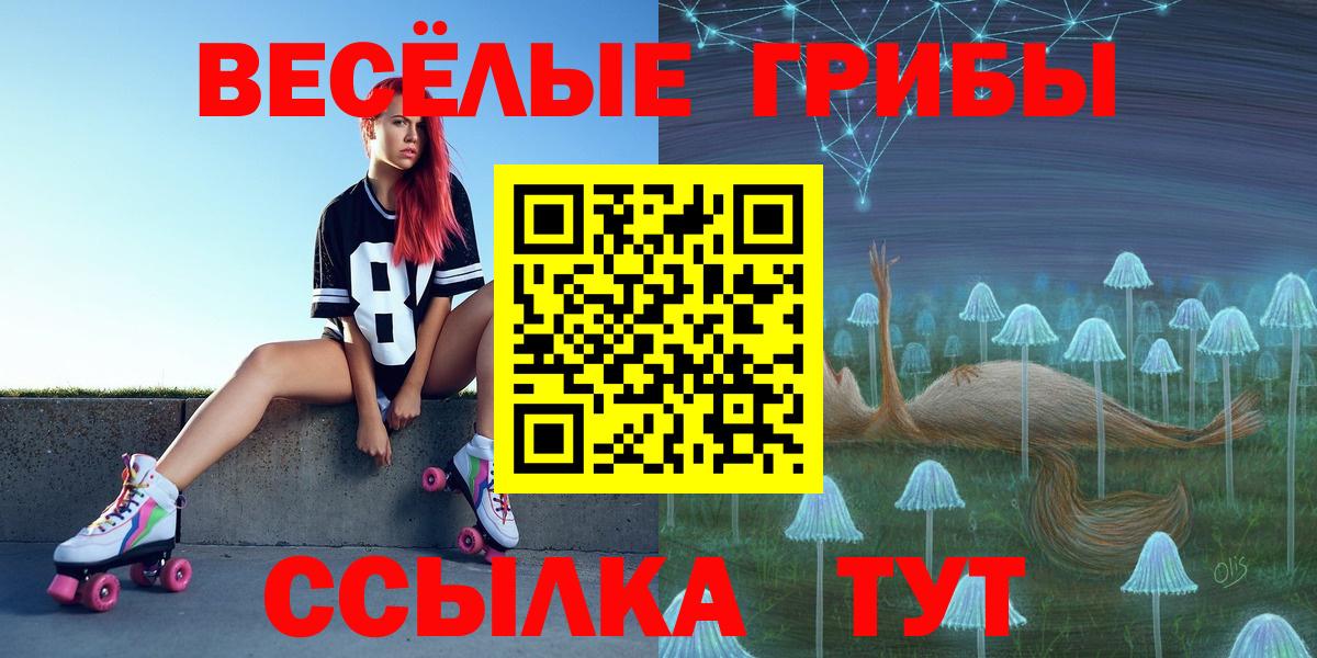 Псилоцибиновые грибы ЛСД Алексин