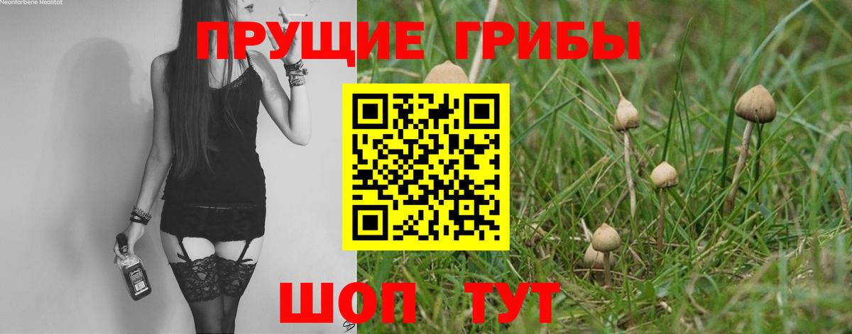 Алексин  Галлюциногенные грибы мицелий  Псилоцибиновые грибы GOLDEN TEACHER  наркотики  Вход с VPN 